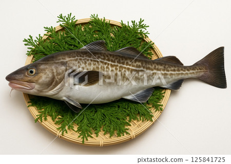 籃子裡裝著剛捕撈的鱈魚 125841725
