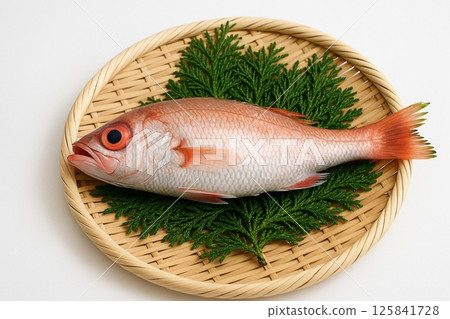 Freshly caught blackthroat seaperch in a basket, blackthroat seaperch, red sea bream 125841728