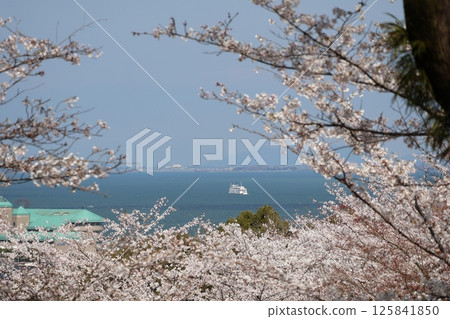 藍天白雲、湖面上漂浮的觀光船、盛開的櫻花以及對岸的小鎮景色 藍天白雲、湖面上漂浮的觀光船、盛開的櫻花以及對岸的小鎮景色 125841850