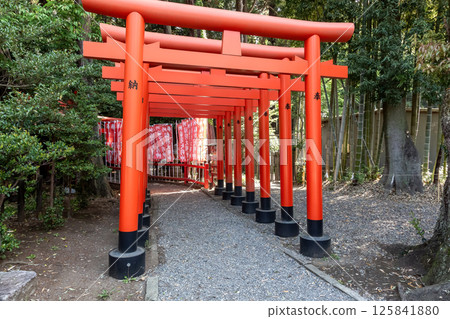春天的常盤稻荷神社紅色鳥居，位於常盤神社境內 125841880