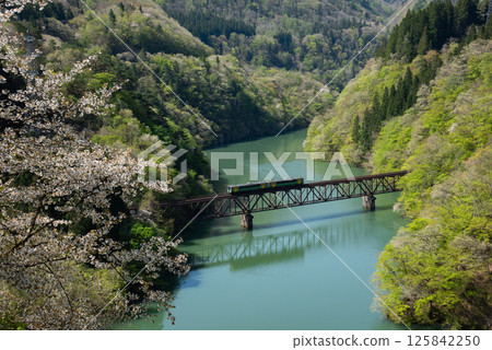 The Tadami Line runs along the Tadami River where wild cherry blossoms bloom. The Tadami Line runs along the Tadami River where wild cherry blossoms bloom. 125842250