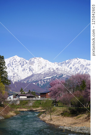 春天的奧伊德公園景色 125842603