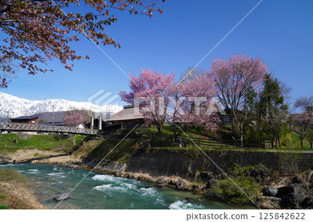 A view from Oide Park in spring 125842622