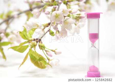 背景素材：沙漏和櫻花特寫 125842682