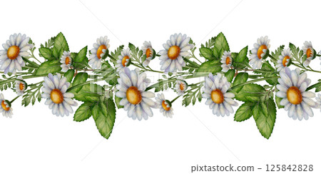 Chamomile floral border seamless pattern 125842828