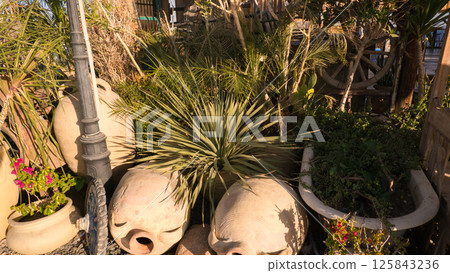 Clay jars with flowers on the streets in Egypt. Alpine slides. A relaxing atmosphere for a tropical getaway Clay jars with flowers on the streets in Egypt. Alpine slides. A relaxing atmosphere for a tropical getaway 125843236