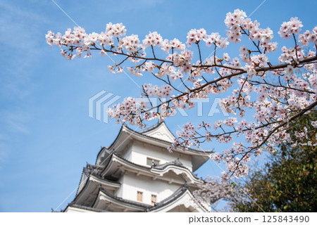 伊賀上野城櫻花盛開（三重縣伊賀市上野公園） 125843490