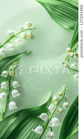 Beauty lily of the valley flower summer spring blossom plant 125843866