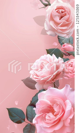 Beauty pink rose flower copy space decoration nature background 125843869