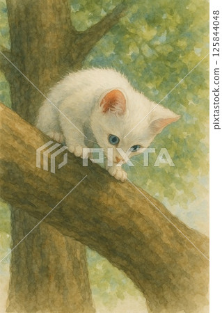 White kitten looking down from a tree branch 125844048