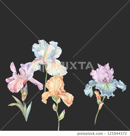 Exquisite Hand Crafted Curly Floral Pattern Compositions 125844372