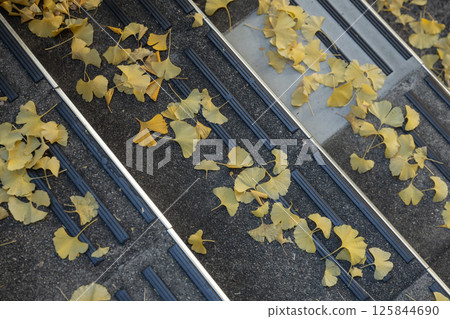 [Japan] Yellow and red ginkgo leaves fallen on the steps of a pedestrian bridge in Tokyo 125844690
