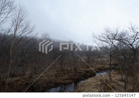 霧的Numazumara Mogara 125845147