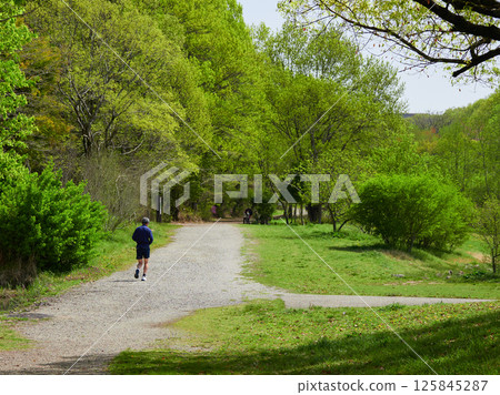 A middle-aged man running on a walking path in a spring park A middle-aged man running on a walking path in a spring park 125845287
