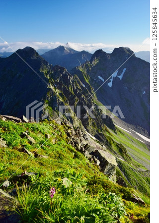 The peaks of the Northern Alps as seen from Mount Hotaka 125845634