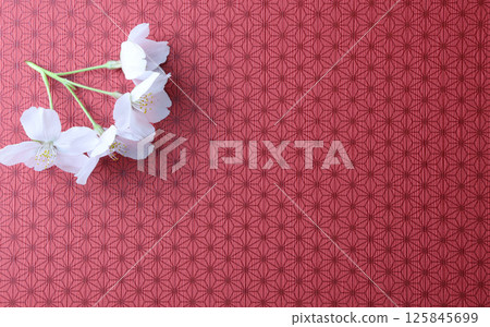 Cherry blossoms on the red background Cherry blossoms on the red background 125845699