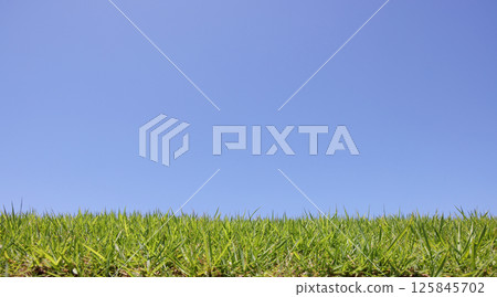 Sky and lawn Sky and lawn 125845702