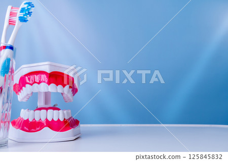 Dental model and toothbrush on blue background highlighting oral hygiene Dental model and toothbrush on blue background highlighting oral hygiene 125845832