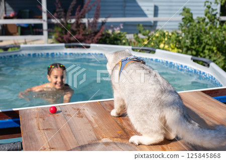 Girl splashing in backyard pool as curious cat watches nearby Girl splashing in backyard pool as curious cat watches nearby 125845868