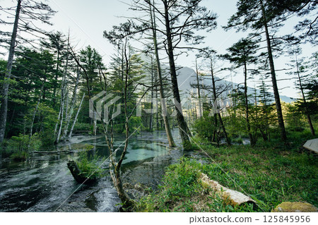 <Nagano> The magnificent views of Kamikochi: Dakezawa Marsh and Mt. Rokuhyaku <Nagano> The magnificent views of Kamikochi: Dakezawa Marsh and Mt. Rokuhyaku 125845956