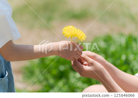 遞上一朵蒲公英的女孩 125846066