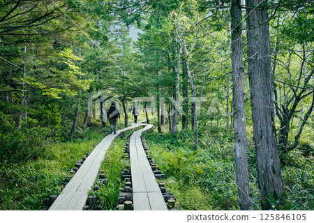 <長野>上高地的壯麗景色:岳澤沼澤和六百山 <長野>上高地的壯麗景色:岳澤沼澤和六百山 125846105