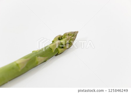 A single asparagus spear, facing up A single asparagus spear, facing up 125846249