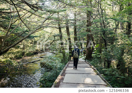 <Nagano> Kamikochi trekking <Nagano> Kamikochi trekking 125846336