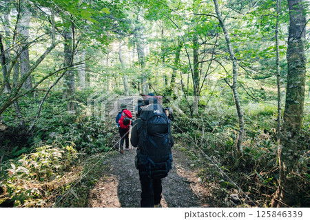 <長野> 上高地健行 125846339