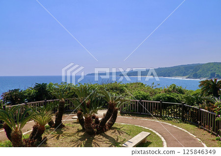 Cape Hedo (Kunigami Village, Okinawa Prefecture) 125846349