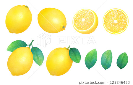 新鮮檸檬和葉子手繪插圖集_水彩_整個和切片檸檬_柑橘類水果 125846453