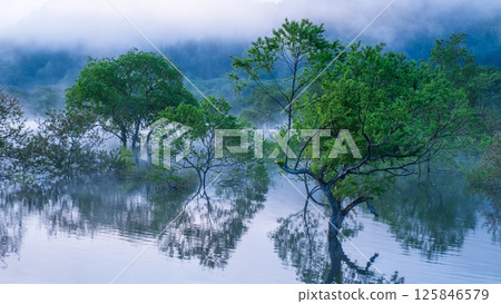 Submerged forest of Shirakawa lake Submerged forest of Shirakawa lake 125846579