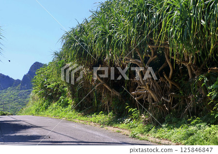 Usahama ruins and surrounding scenery (Kunigami Village, Okinawa Prefecture) Usahama ruins and surrounding scenery (Kunigami Village, Okinawa Prefecture) 125846847