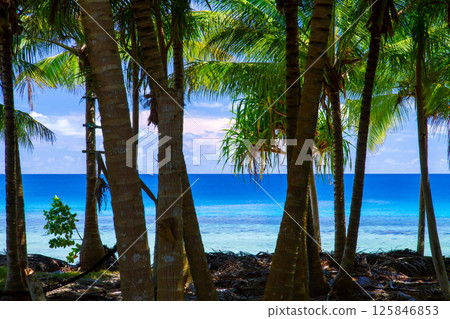 The lagoon beyond the palm trees of Fongafale Island in Funafuti Atoll, the capital of Tuvalu, an island nation in Oceania and Polynesia The lagoon beyond the palm trees of Fongafale Island in Funafuti Atoll, the capital of Tuvalu, an island nation in Oceania and Polynesia 125846853