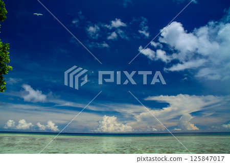 The shallow lagoon of Fatato Island, the capital of Funafuti Atoll, an island nation in Oceania and Polynesia, Tuvalu 125847017