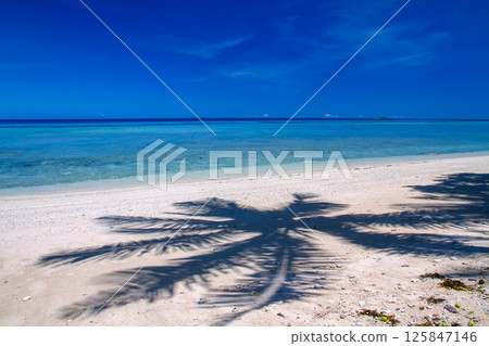 大洋洲和波利尼西亞島國圖瓦盧首都富納富提環礁豐法萊島上的潟湖和棕櫚樹的陰影 大洋洲和波利尼西亞島國圖瓦盧首都富納富提環礁豐法萊島上的潟湖和棕櫚樹的陰影 125847146