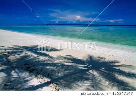 大洋洲和波利尼西亞島國圖瓦盧首都富納富提環礁豐法萊島上的潟湖和棕櫚樹的陰影 大洋洲和波利尼西亞島國圖瓦盧首都富納富提環礁豐法萊島上的潟湖和棕櫚樹的陰影 125847147