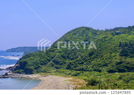 Usa Beach and virgin forest (Kunigami Village, Okinawa Prefecture) 125847895