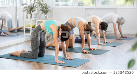 Adult woman doing pilates in group in studio 125848526