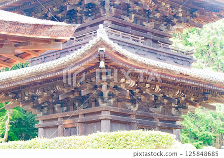 滋賀縣大津市三井寺的三重塔 125848685