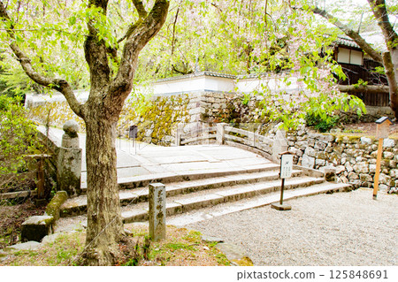 Murakumo Bridge with beautiful green foliage at Miidera Temple in Otsu City, Shiga Prefecture Murakumo Bridge with beautiful green foliage at Miidera Temple in Otsu City, Shiga Prefecture 125848691