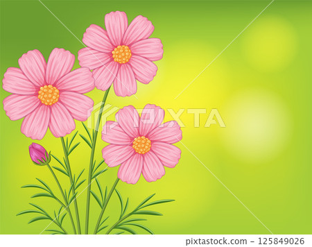 Pink Cosmos Flowers on Vibrant Green Background 125849026