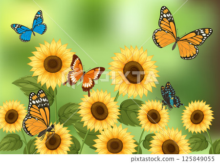 Vibrant Butterflies and Sunflowers in Vector Art Vibrant Butterflies and Sunflowers in Vector Art 125849055