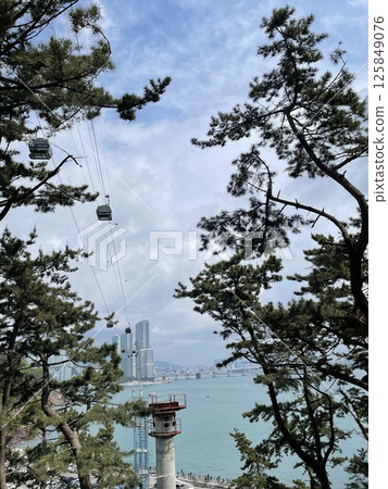 從森林裡看到的海上纜車和城市景觀 125849076