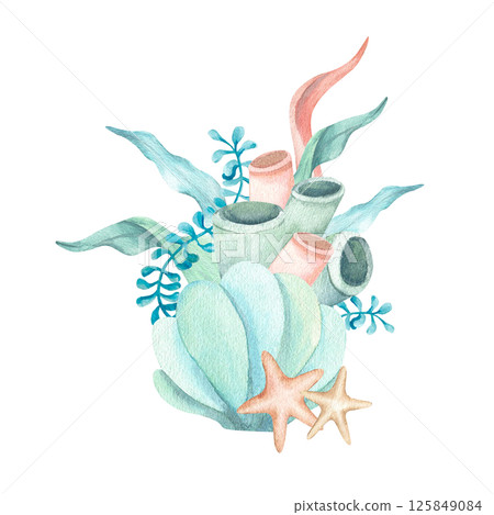 Seashell with algae, starfishes, corals watercolor composition. Hand drawn illustration isolated from background. Underwater seaweed for kids sea design, stationary, typography, aquarium theme poster 125849084