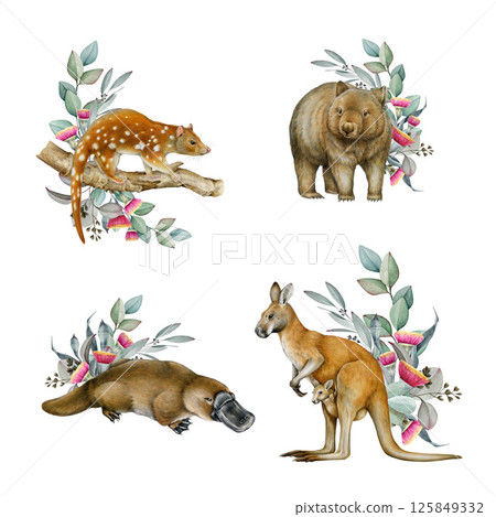 Australia native animals with floral decor watercolor illustration set. Hand drawn kangaroo, platypus, wombat, tiger quoll collection. Australian wildlife animals with eucalyptus decor set 125849332