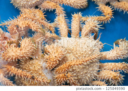 IGA crayfish 125849390