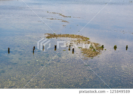 Yatsu潮灘（千葉縣習誌野市） 125849589