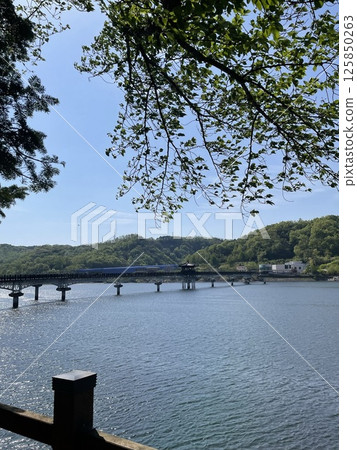 Fresh green lakeside and traditional bridge Fresh green lakeside and traditional bridge 125850263