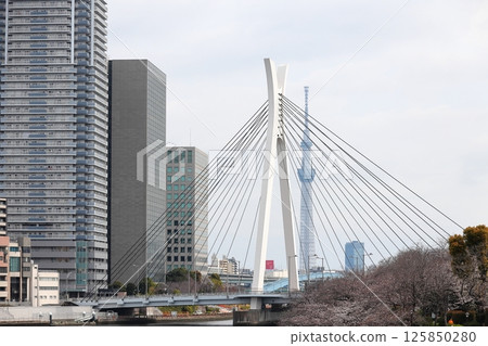 Tokyo cityscape: View from Tsukuda Ohashi Bridge 125850280